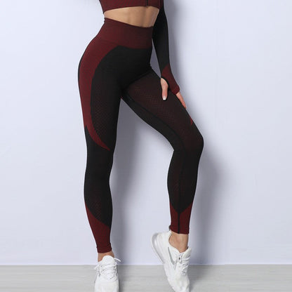 Proshiny™ Thermische Zyklusformende Leggings - Hergestellt in Deutschland